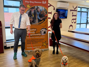 Izzy and Fudge join The Dog Mentor!