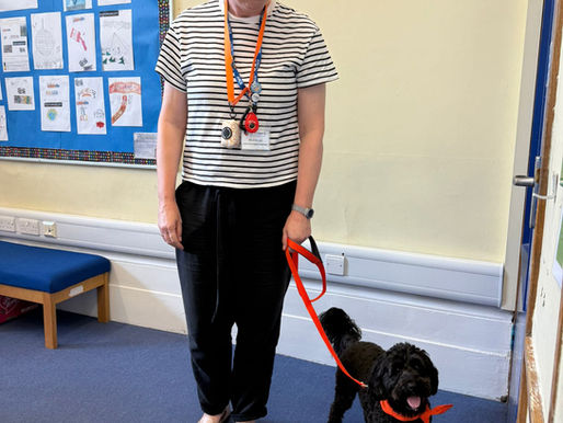 Humphrey gets a new handler!