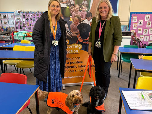 Pippa and Winnie were the stars today!