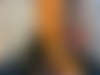 Brynmawr gets a third Dog Mentor team!