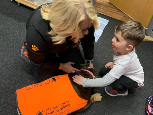 Hoyle Nursery School!