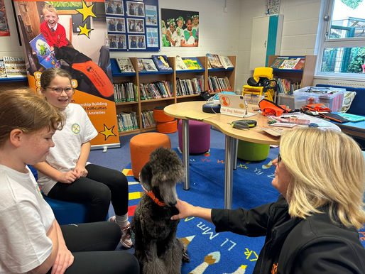 Kumo and Annie's second dayof training