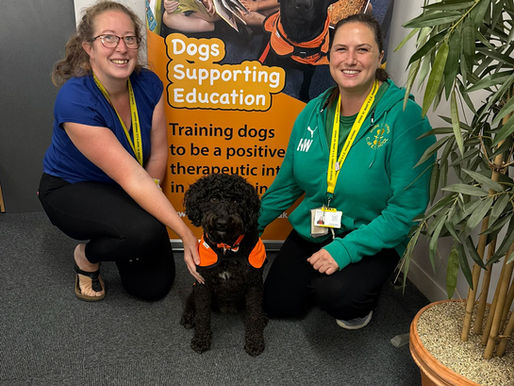 Luna, Nikki and Nicola join our Dog Mentor family!