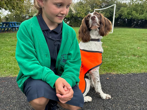Amy is perfect at North Marston CE Primary School!