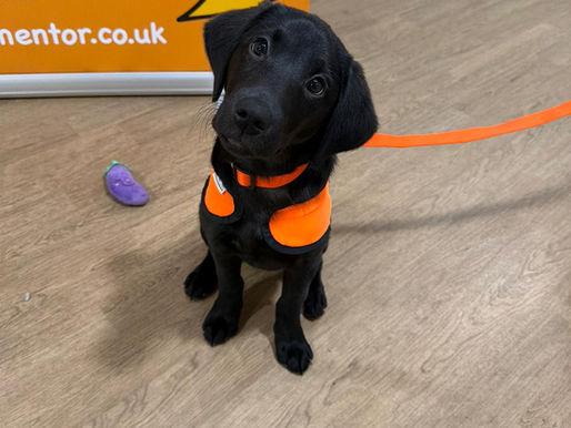 Two superstars come together!