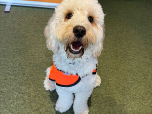 Donhead Preparatory School joins our Dog Mentor Family!