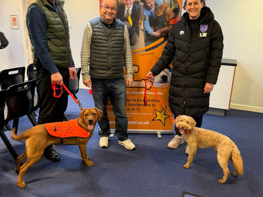 Two new Dog Mentors to finish the week!