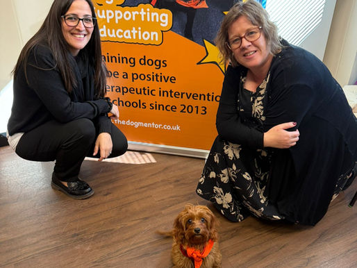 Rosie joins her second school!