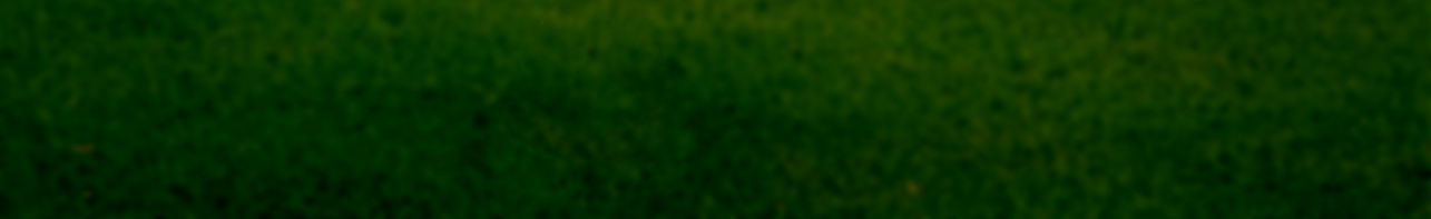 Green.jpg