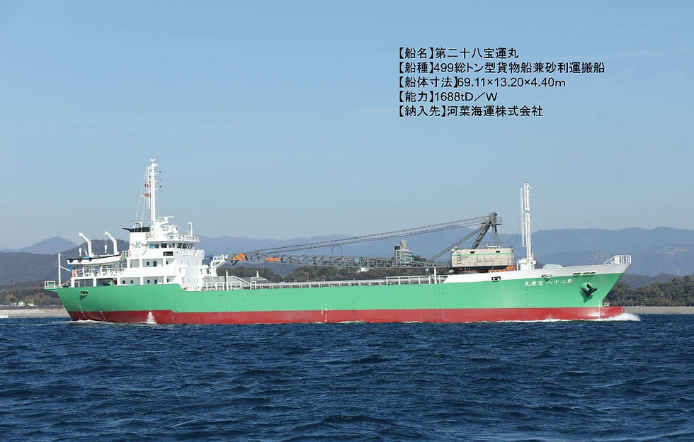 第二十八宝運丸