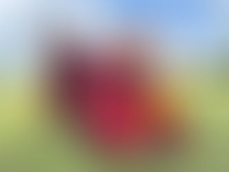 Photos de Rinpoché par Largen