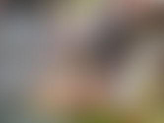 Une nouvelle vidéo est désormais disponible sur la chaîne YouTube de Speech of Delight.