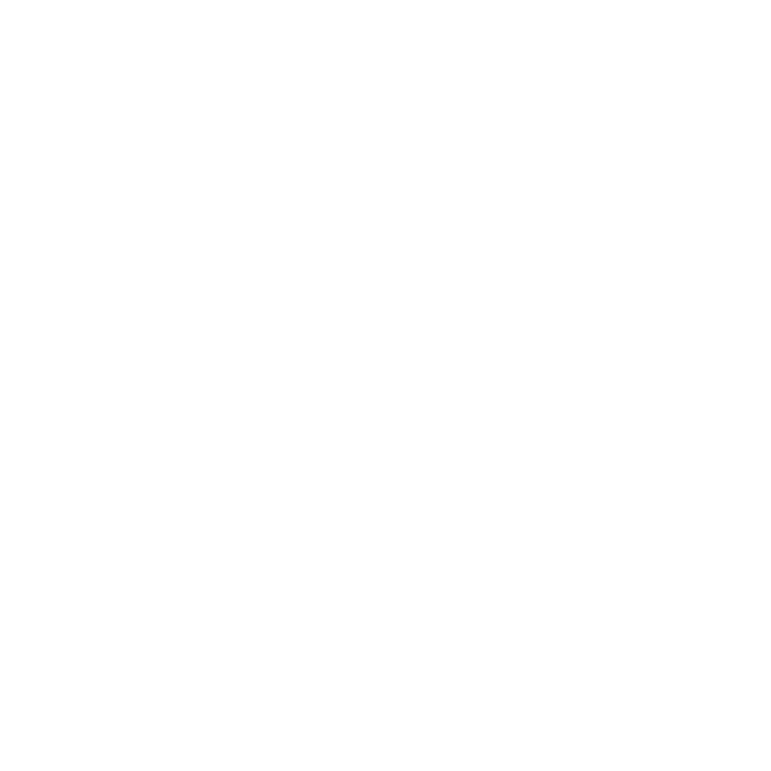 Beschreibung Umzug