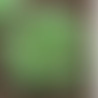 What We Are Growing This Year?