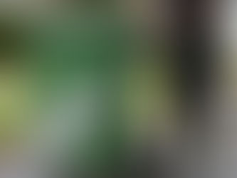 Collecte aux trois semaines: Vos bacs ont des mauvaises odeurs | Bas‑Saint‑Laurent