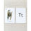 Thumbnail: Animal ABC Flash Cards