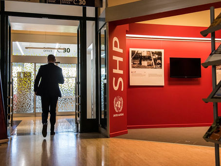 UN's Palais renovation still marred by management issues