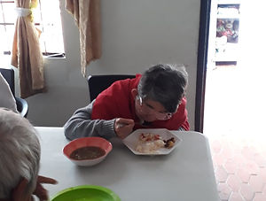 Alimentacion