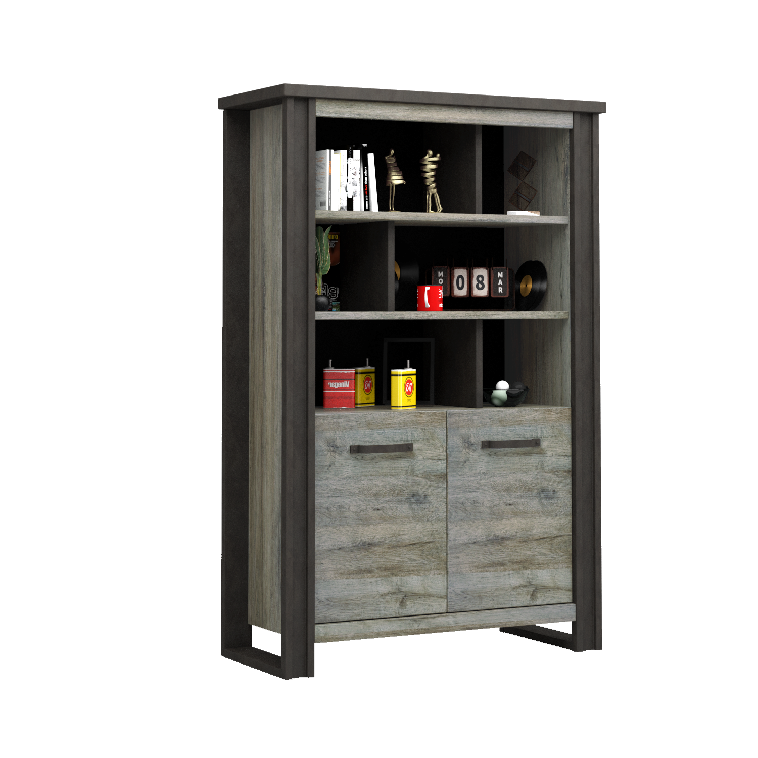 BIBLIOTHEQUE  2 portes N°2