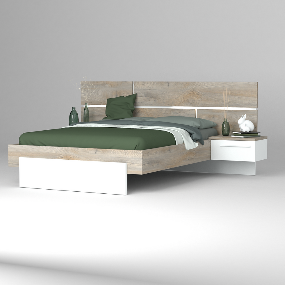 Miniature : LIT 160 N19