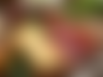 Enhancing Your Journey with Premium Private Jet Catering