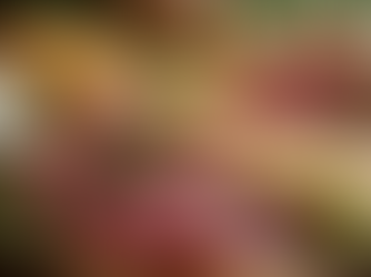 Exploring Premium Private Jet Catering Services