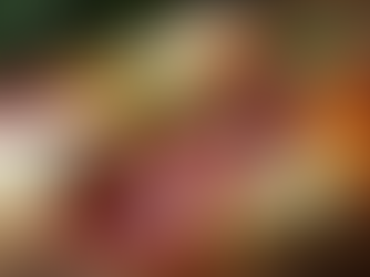 Experience the Elegance of Inflight Catering Services