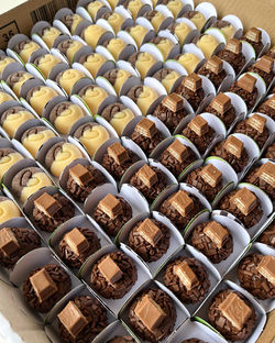 489298040_1260381622763164_8339560151328161512_n