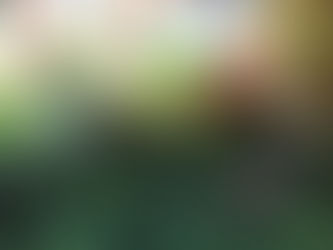 imaginaires autour de la Terre