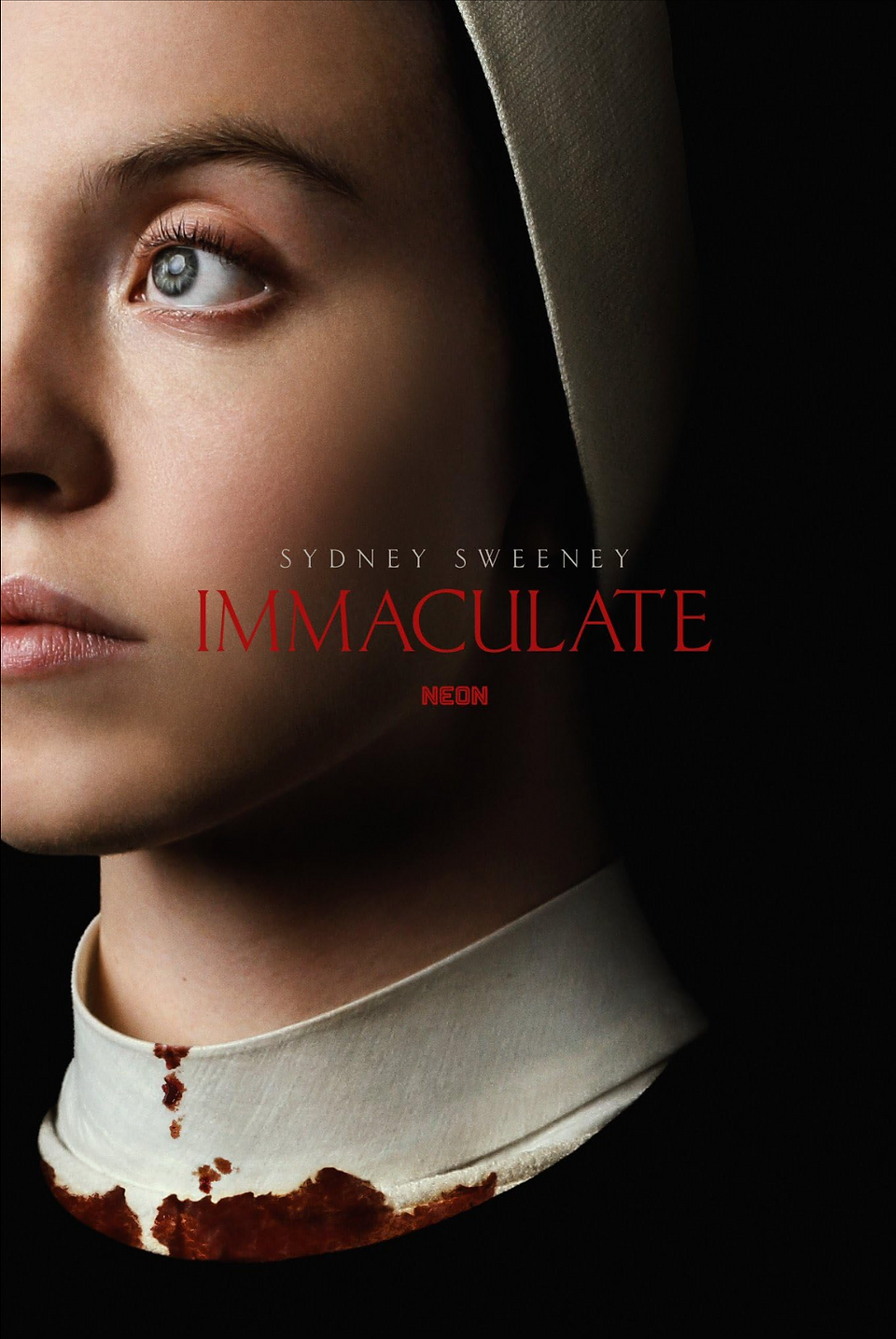 Twin film movie posters: Immaculate