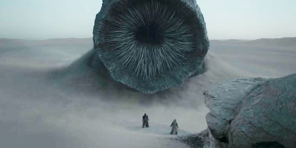 Dune: Part Two, frame. Two people in the desert of Arrakis facing a sandworm