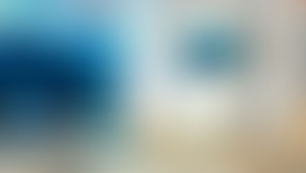 Is the algorithm like the human brain?