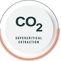 co2_certification-2.png
