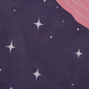 Festival Mujer Semilla