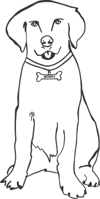 Monty PNG - GREy.png