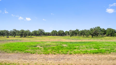 DJI_0195.jpg