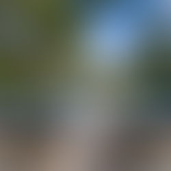 Austin area closes decade with record-breaking $13B in home sales