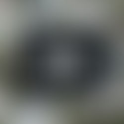 LIVE | Read the Latest Issue for San Antonio & the Hill Country