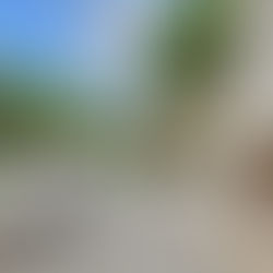 Housing market continues to bounce back; real estate is vital to early economic recovery