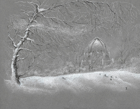 US - BAHAI SNOWSTORM