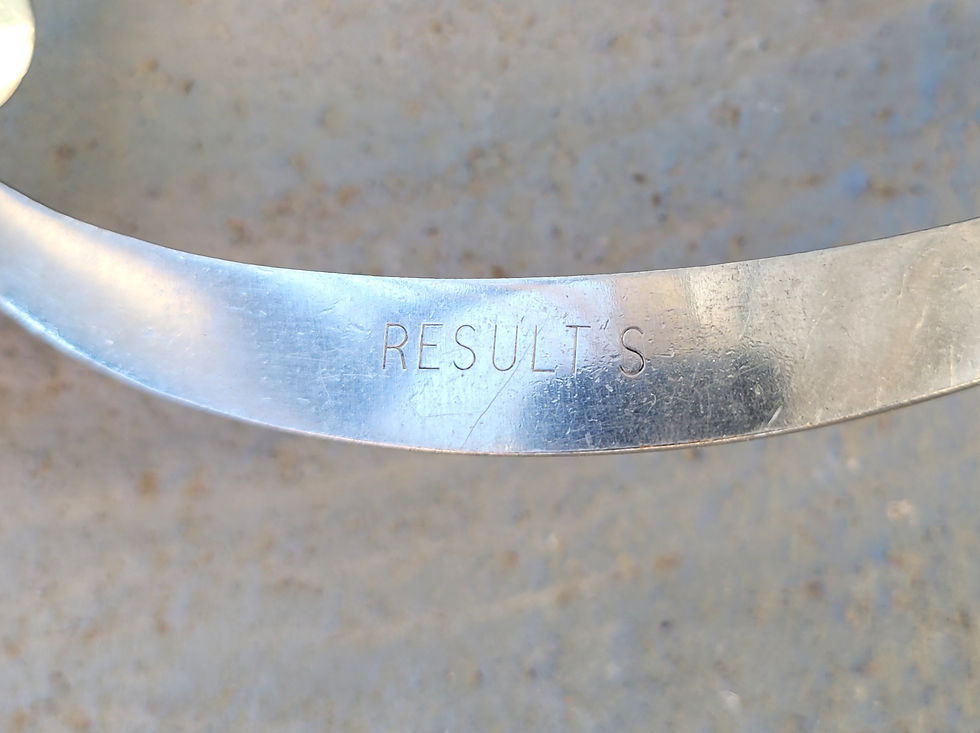 Thumbnail: Sterling "Kissing Bird" Show Bit by Results