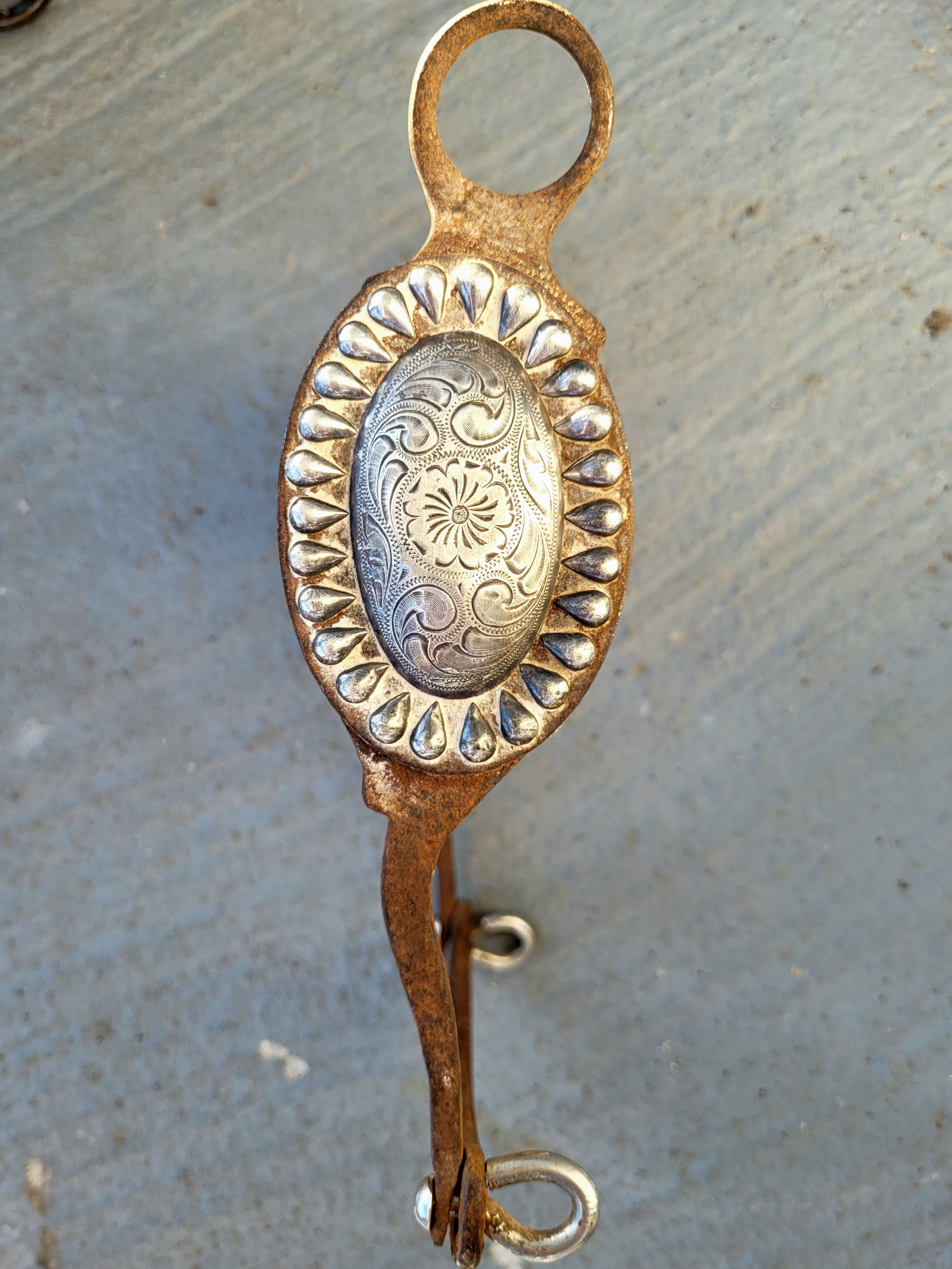 Sterling Oval Peacock Show Bit by Bill Stewart