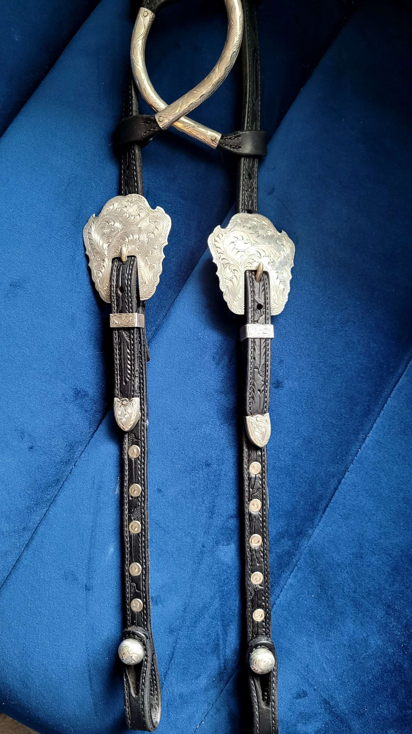 Gorgeous Black "quick change" Show Headstall by Bob Falvey / Deb Moyer