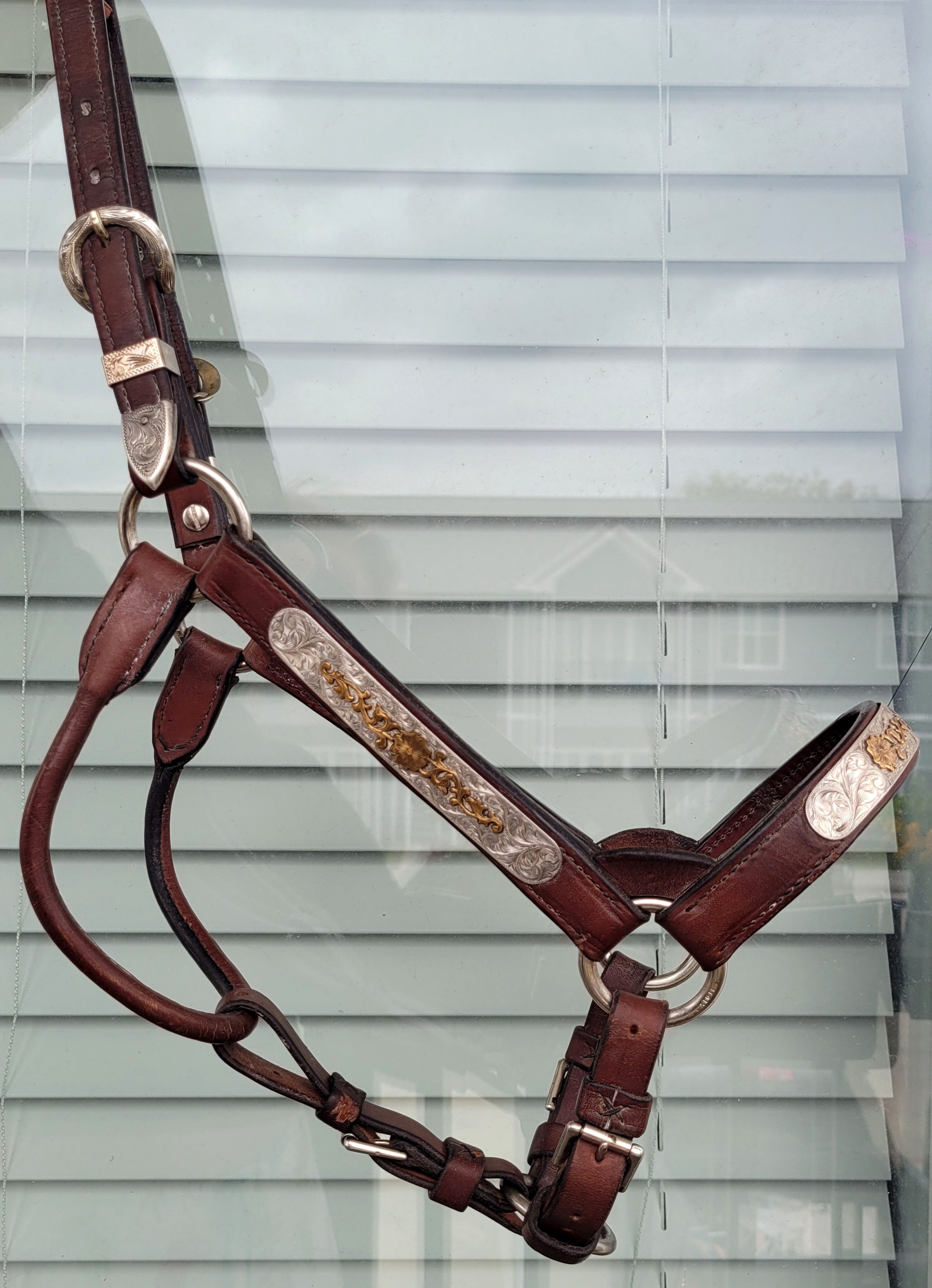 Long Yearling/2YO Sterling Show Halter by Harris Leatherworks