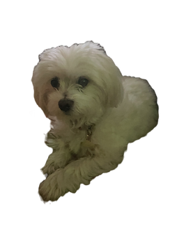 IMG_0041_edited.png