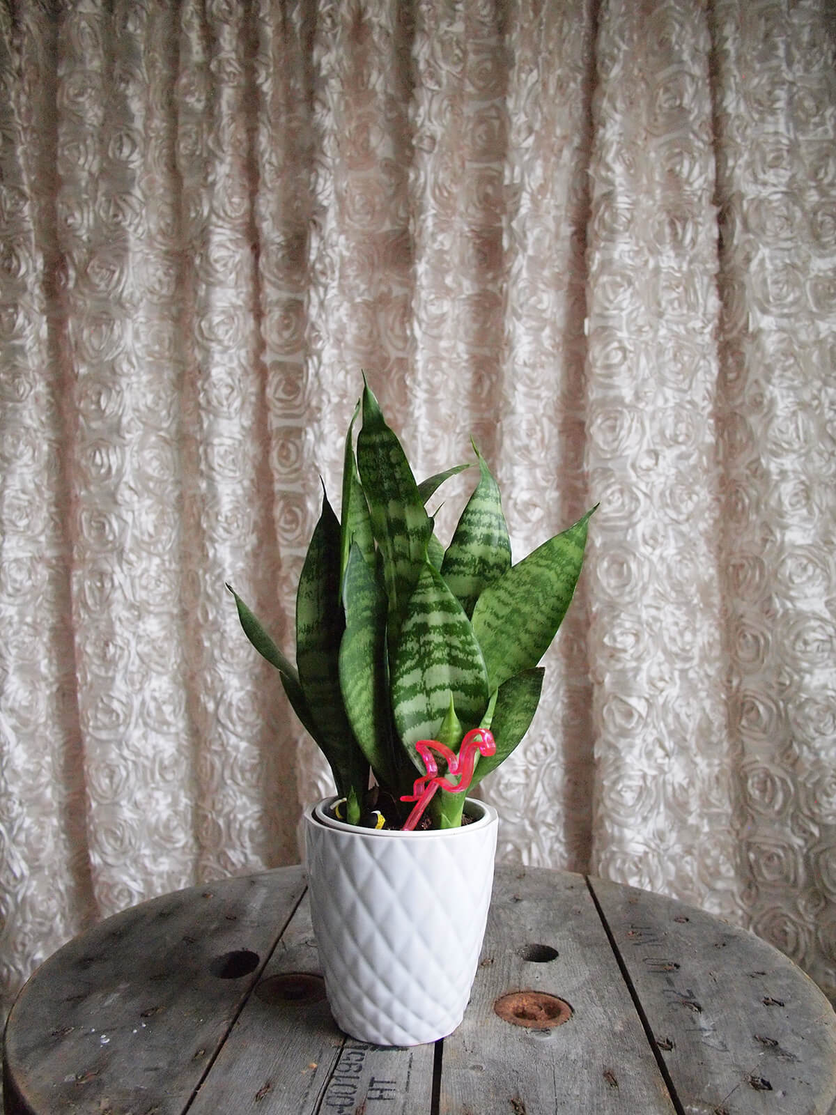 PearlRose white Photobooth Backdrop