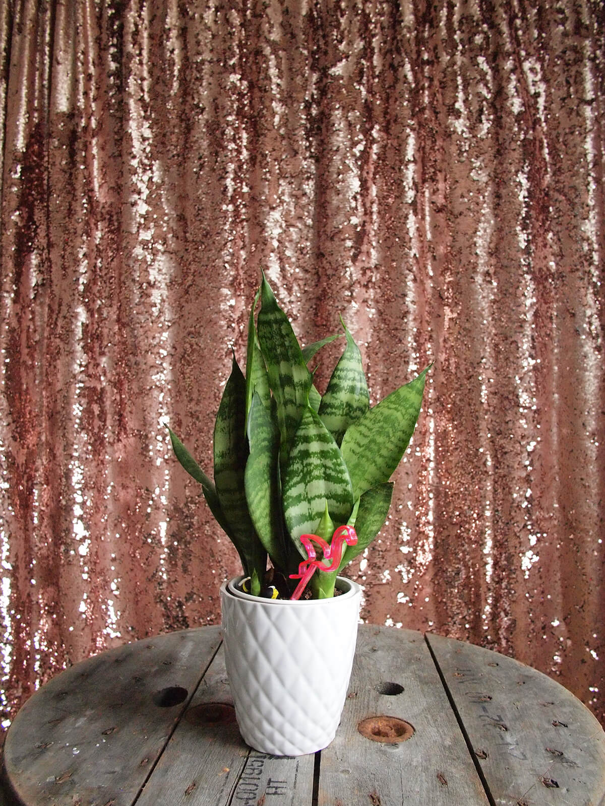 Bubbly Pink Gold Photobooth Backdrop
