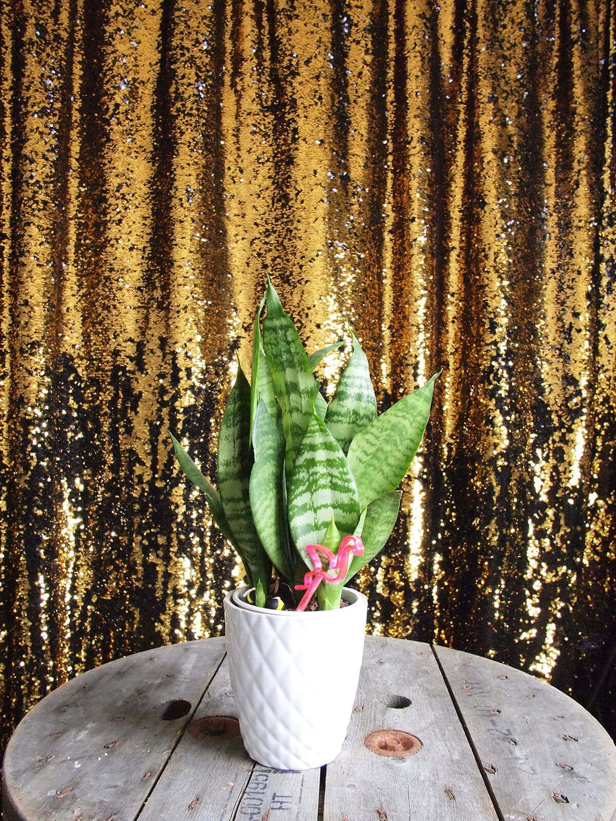 Vegas 3 mermaid Photobooth Backdrop