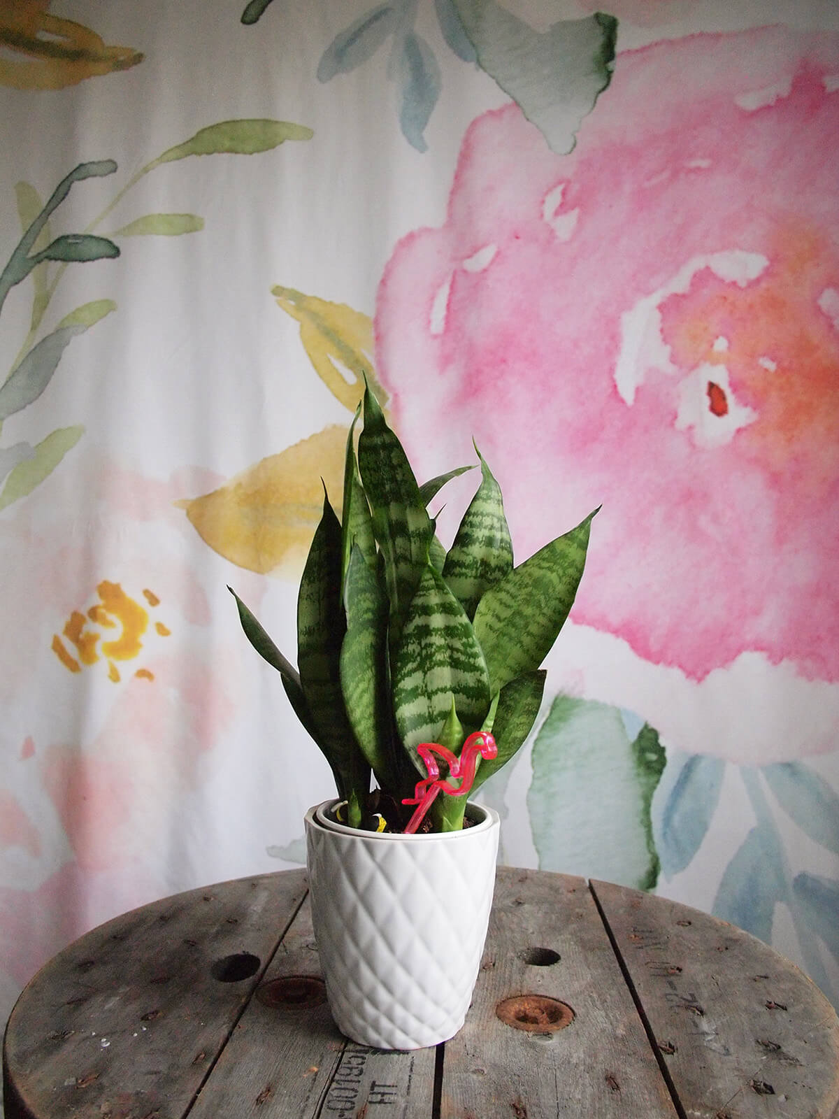 Watercolour flowers Backdrop