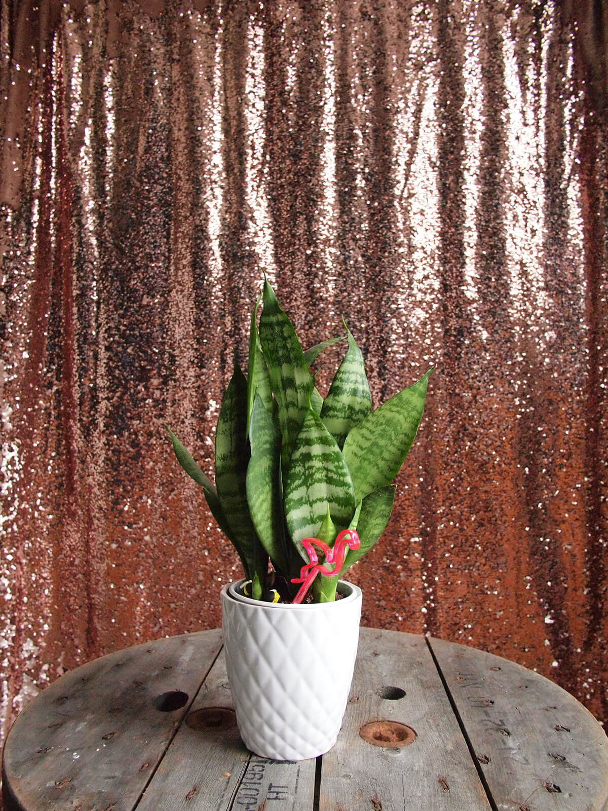 RoseGold Photobooth Backdrop
